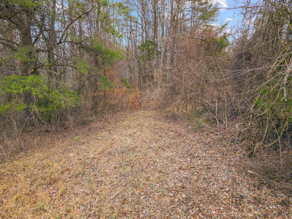 77 Barnett Road Russell Springs KY 42642