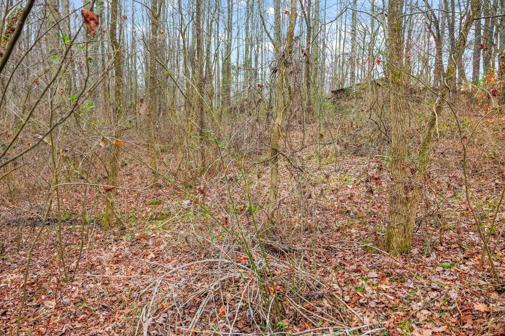 77 Barnett Road Russell Springs KY 42642