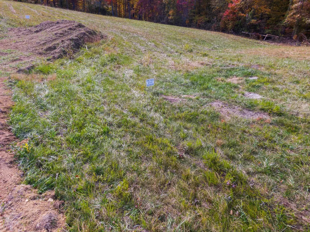 41 Spring Branch Hollow Road Nancy KY 42544