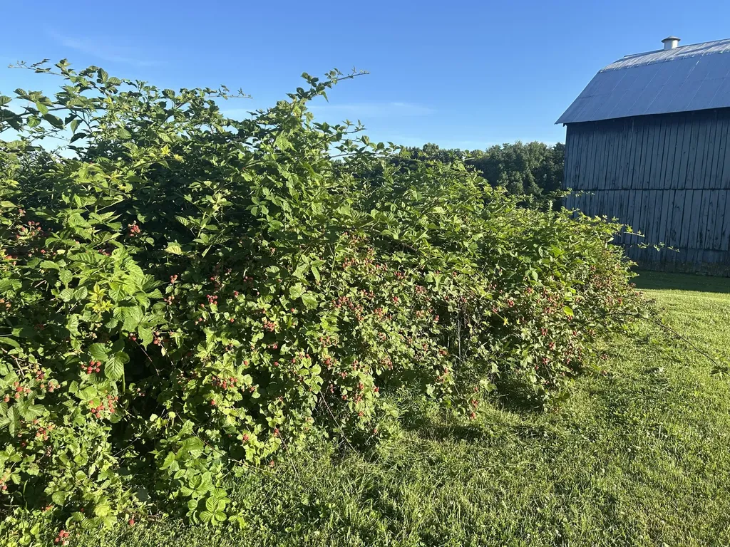 586 Harristown Road Russell Springs KY 42642