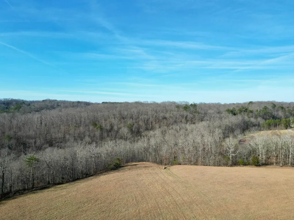 1235 Long Branch Road Beattyville KY 41311