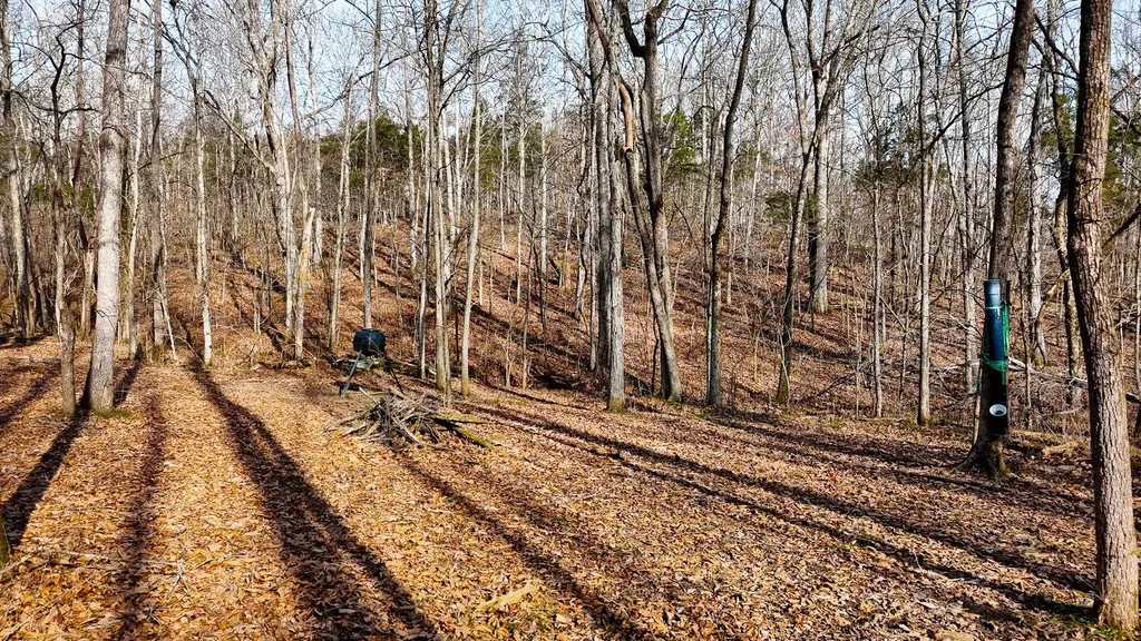0000 Baxter Ridge Road Lawrenceburg KY 40342