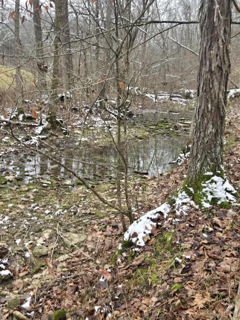 0000 Baxter Ridge Road Lawrenceburg KY 40342