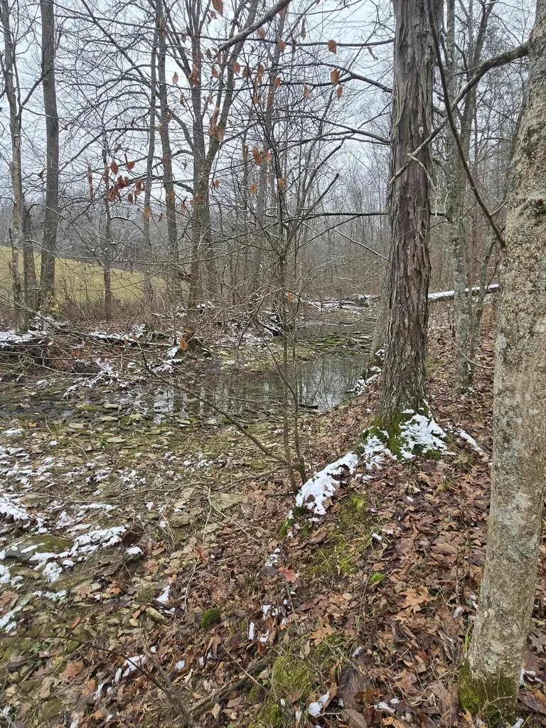 0000 Baxter Ridge Road Lawrenceburg KY 40342
