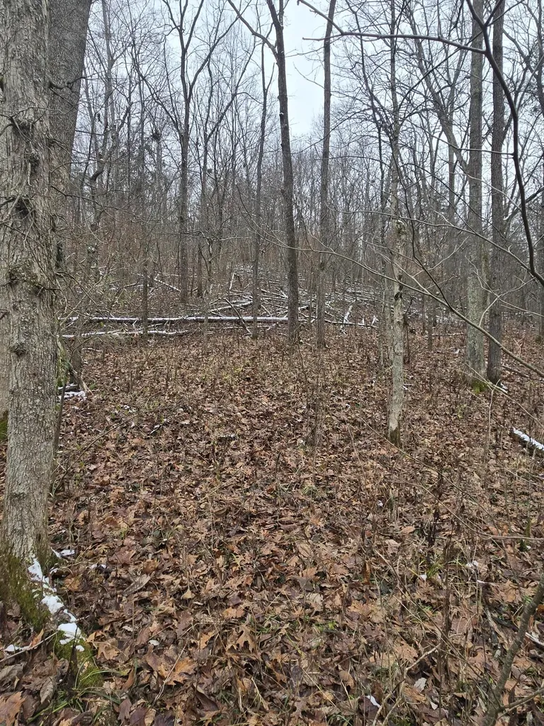 0000 Baxter Ridge Road Lawrenceburg KY 40342