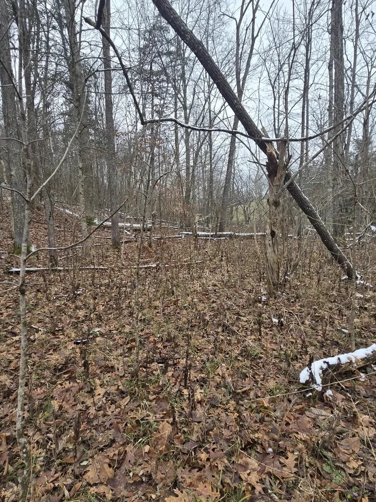 0000 Baxter Ridge Road Lawrenceburg KY 40342