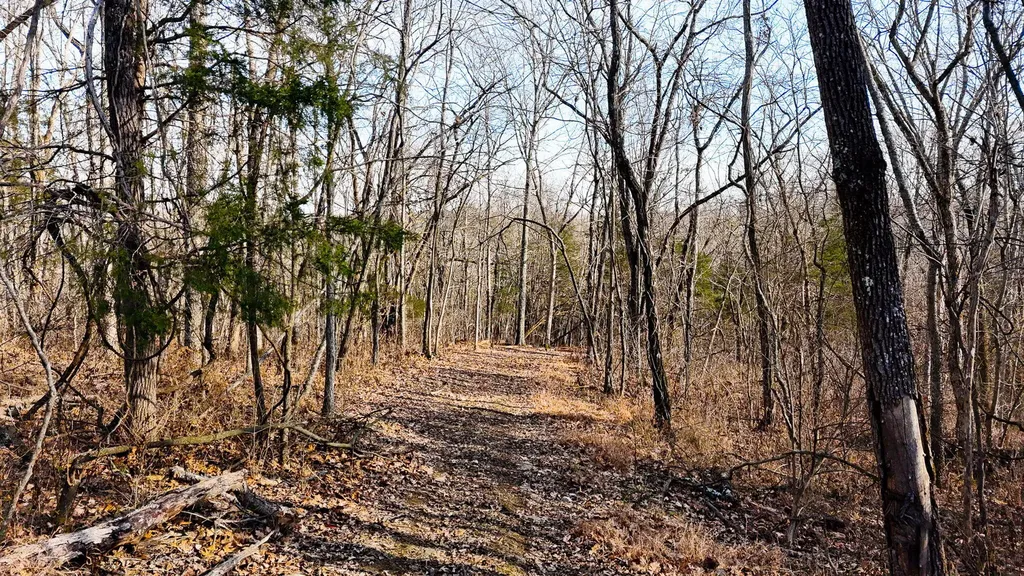 0000 Baxter Ridge Road Lawrenceburg KY 40342