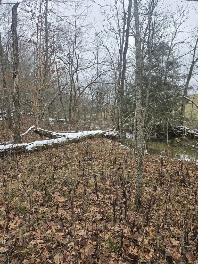 0000 Baxter Ridge Road Lawrenceburg KY 40342