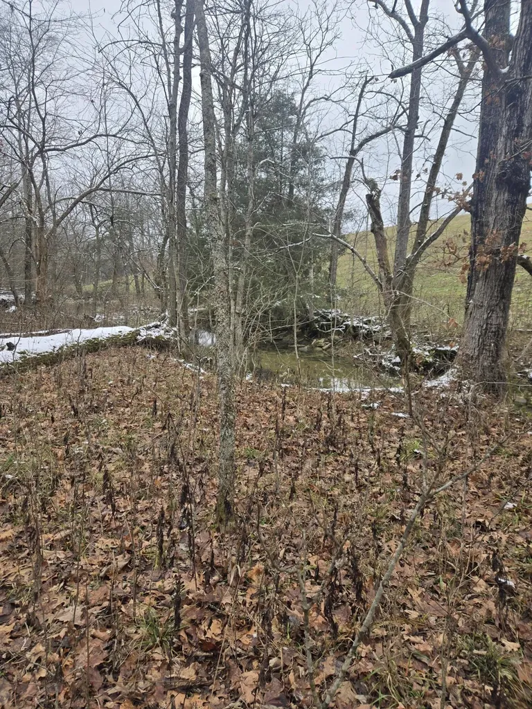 0000 Baxter Ridge Road Lawrenceburg KY 40342