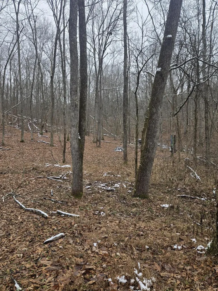 0000 Baxter Ridge Road Lawrenceburg KY 40342