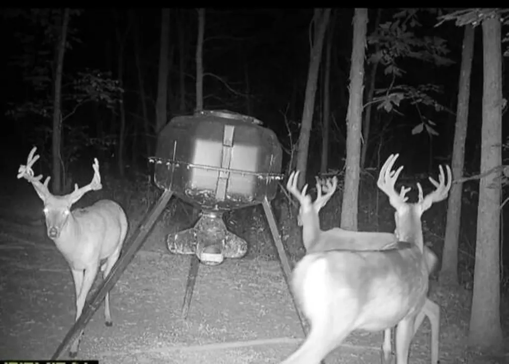 0000 Baxter Ridge Road Lawrenceburg KY 40342
