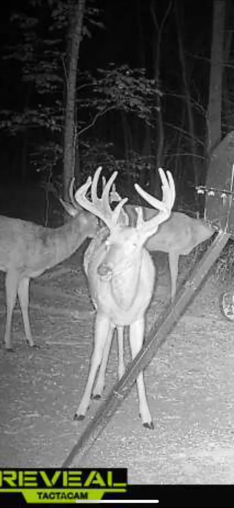 0000 Baxter Ridge Road Lawrenceburg KY 40342