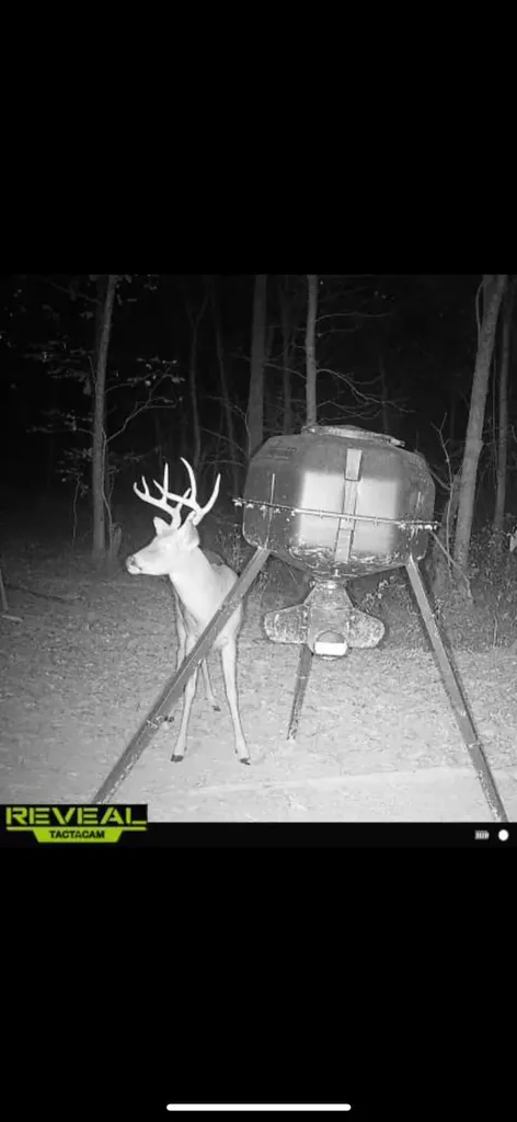 0000 Baxter Ridge Road Lawrenceburg KY 40342