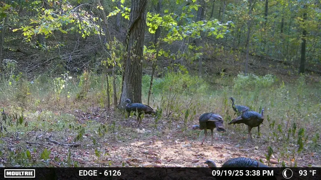 0000 Baxter Ridge Road Lawrenceburg KY 40342