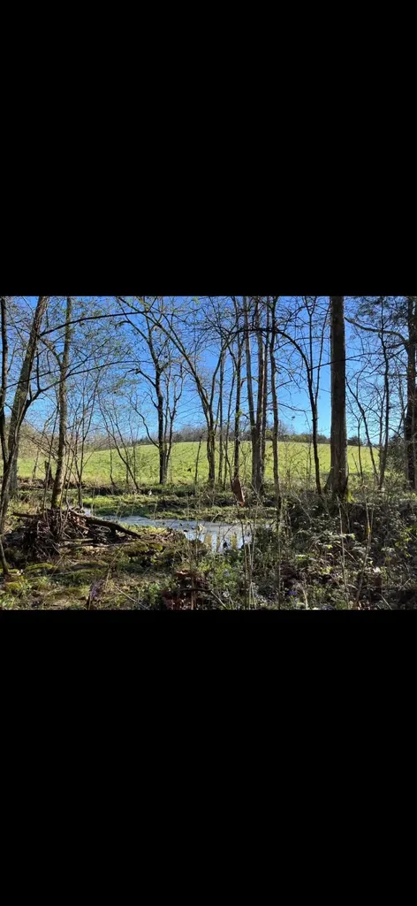 0000 Baxter Ridge Road Lawrenceburg KY 40342