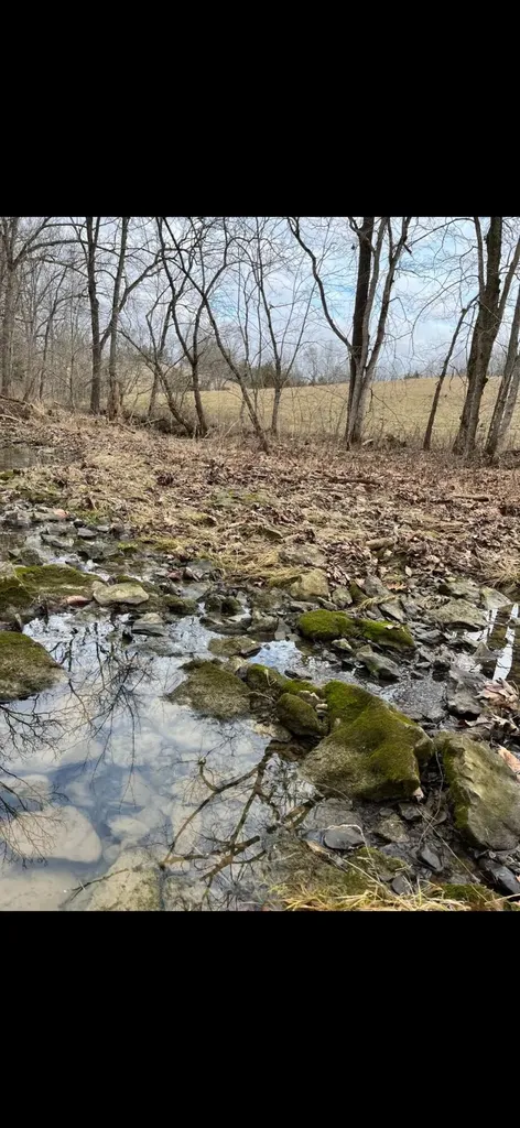 0000 Baxter Ridge Road Lawrenceburg KY 40342