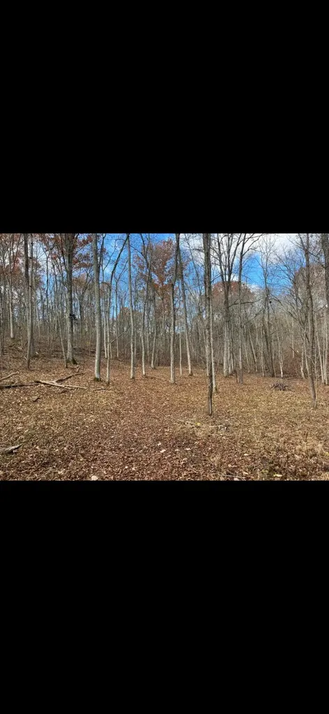 0000 Baxter Ridge Road Lawrenceburg KY 40342