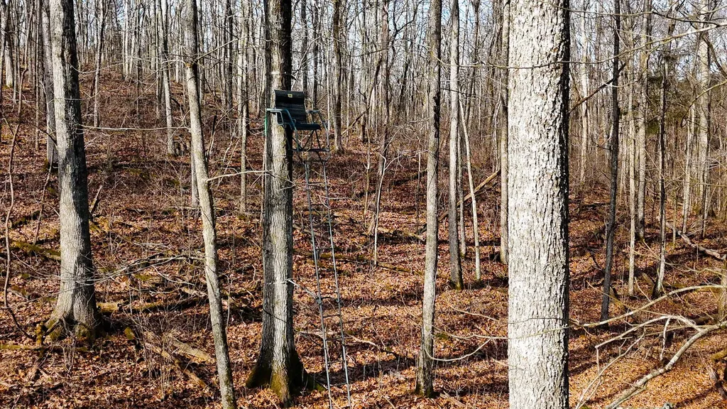 0000 Baxter Ridge Road Lawrenceburg KY 40342