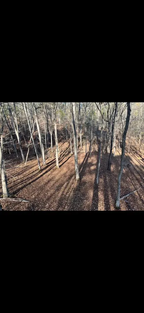 0000 Baxter Ridge Road Lawrenceburg KY 40342