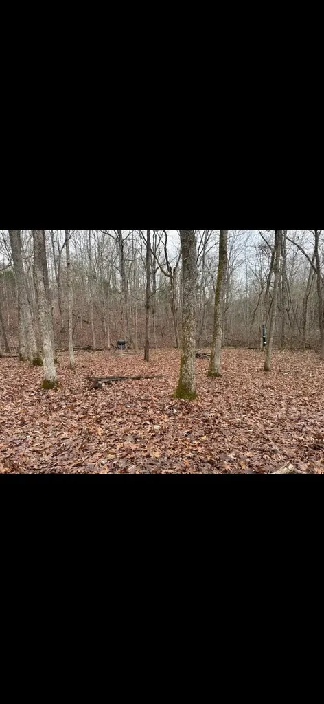 0000 Baxter Ridge Road Lawrenceburg KY 40342