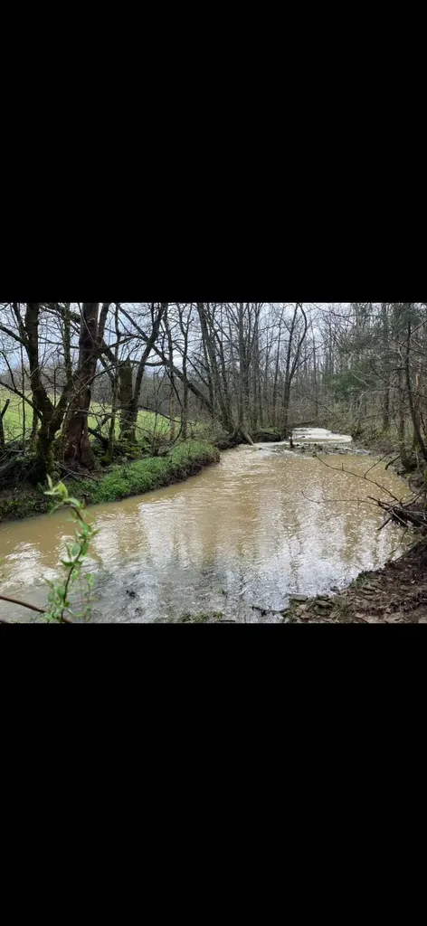0000 Baxter Ridge Road Lawrenceburg KY 40342