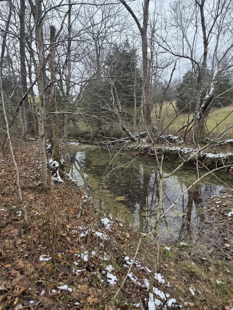 0000 Baxter Ridge Road Lawrenceburg KY 40342