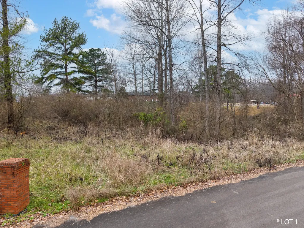 Lot 1 Fountain Way Somerset KY 42501