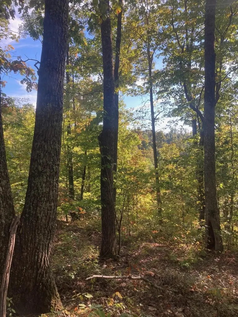 105 Chambers Fork Road Campton KY 41301