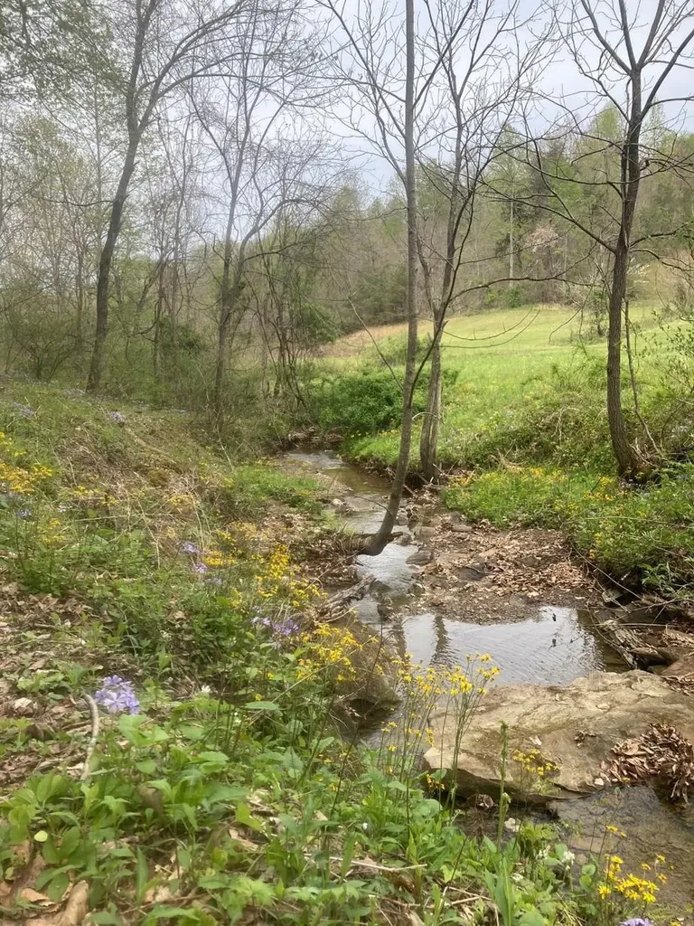 105 Chambers Fork Road Campton KY 41301
