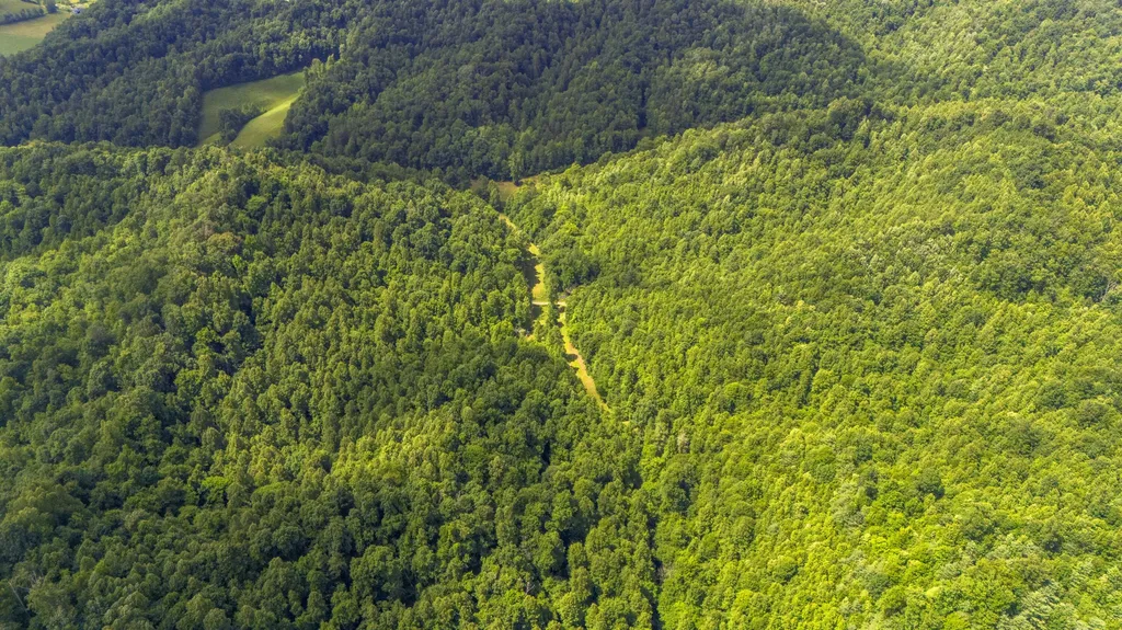 105 Chambers Fork Road Campton KY 41301