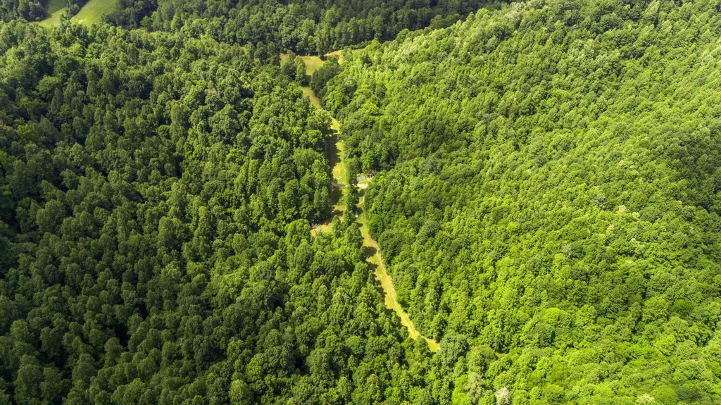 105 Chambers Fork Road Campton KY 41301