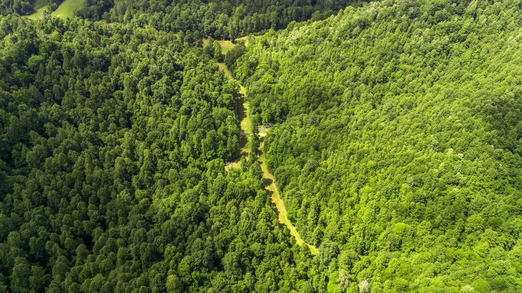 105 Chambers Fork Road Campton KY 41301