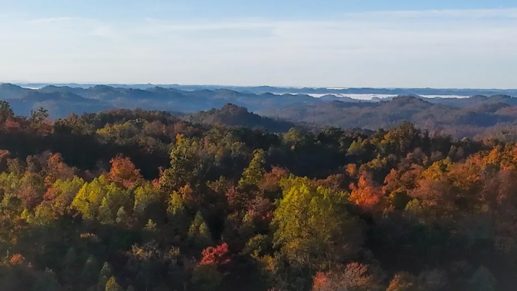 105 Chambers Fork Road Campton KY 41301