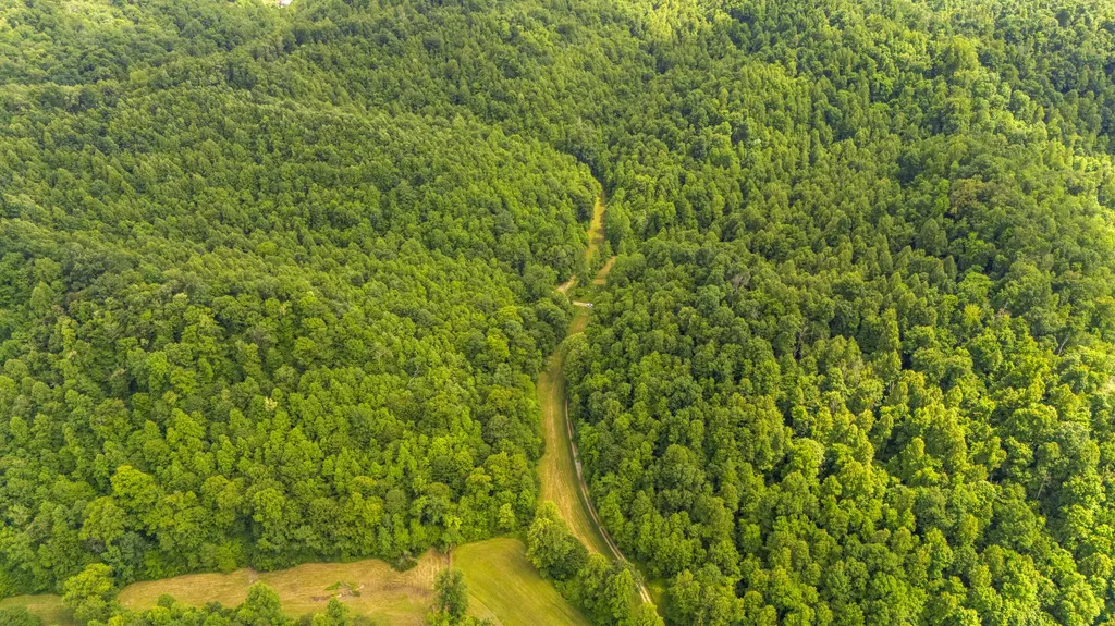 105 Chambers Fork Road Campton KY 41301