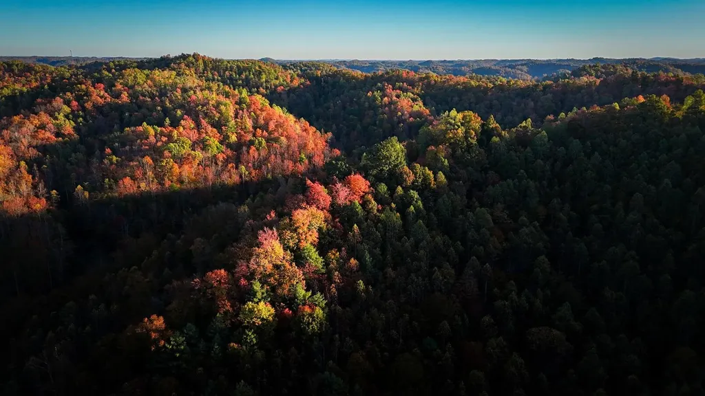 105 Chambers Fork Road Campton KY 41301