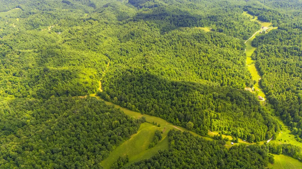 105 Chambers Fork Road Campton KY 41301