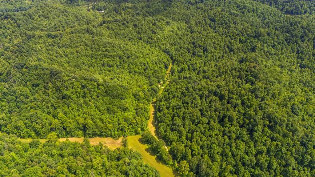 105 Chambers Fork Road Campton KY 41301