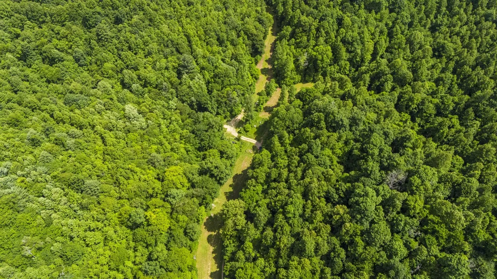105 Chambers Fork Road Campton KY 41301