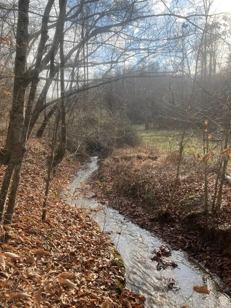 105 Chambers Fork Road Campton KY 41301