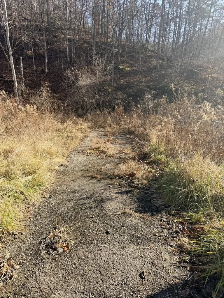 6770 State Highway 1350 Sextons Creek KY 40983