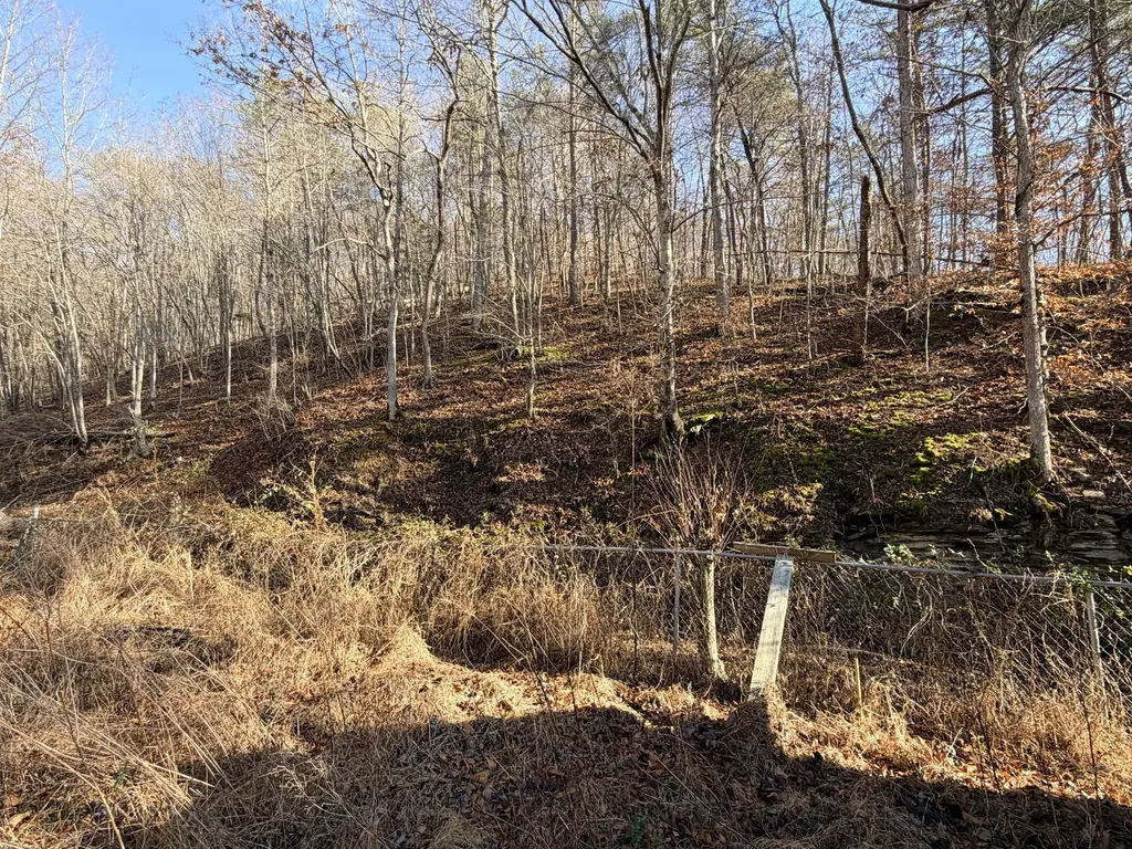 6770 State Highway 1350 Sextons Creek KY 40983