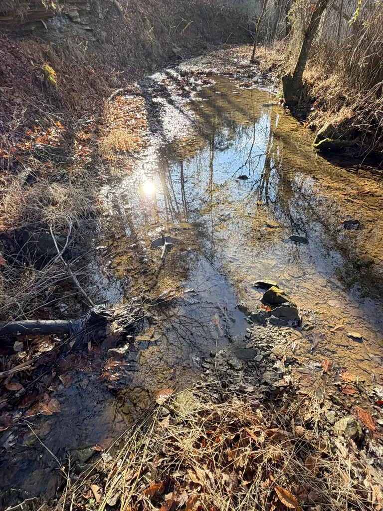 6770 State Highway 1350 Sextons Creek KY 40983