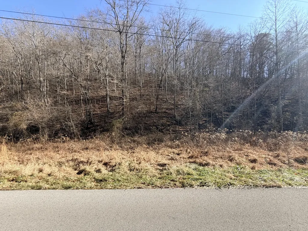 6770 State Highway 1350 Sextons Creek KY 40983