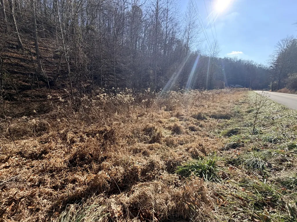 6770 State Highway 1350 Sextons Creek KY 40983