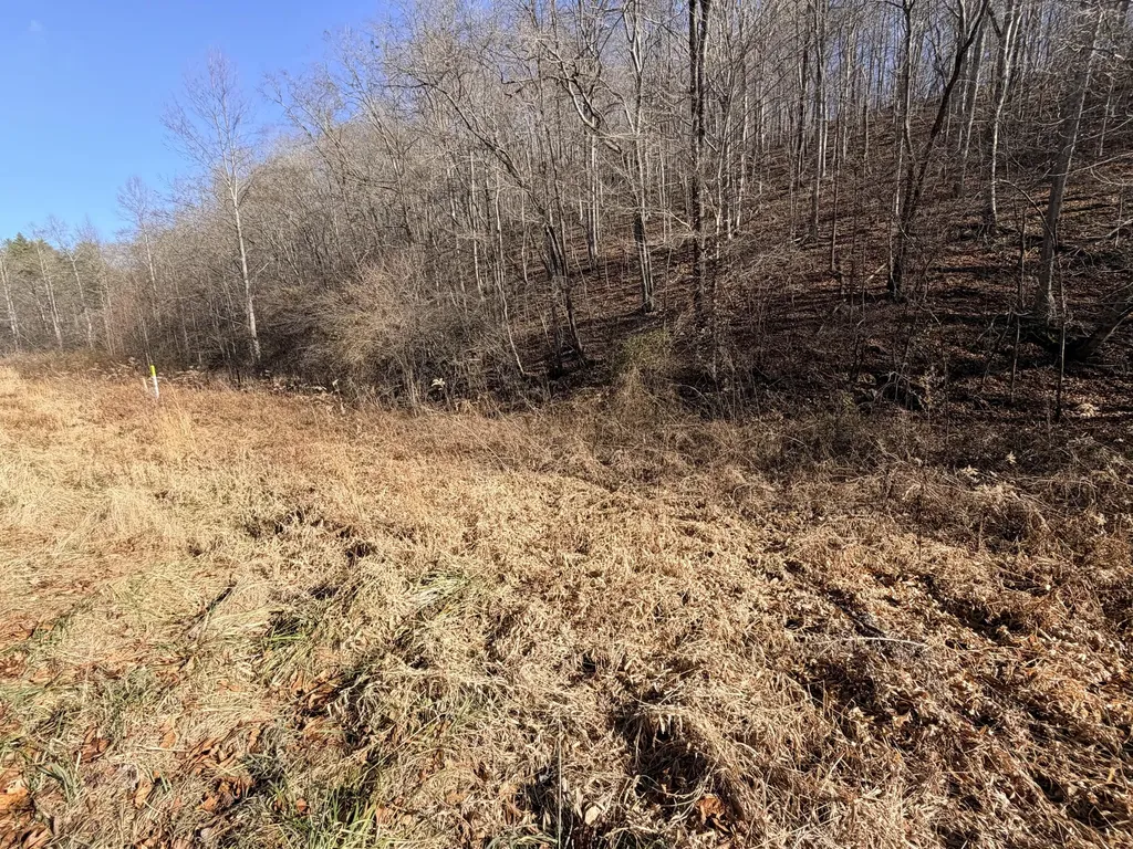 6770 State Highway 1350 Sextons Creek KY 40983