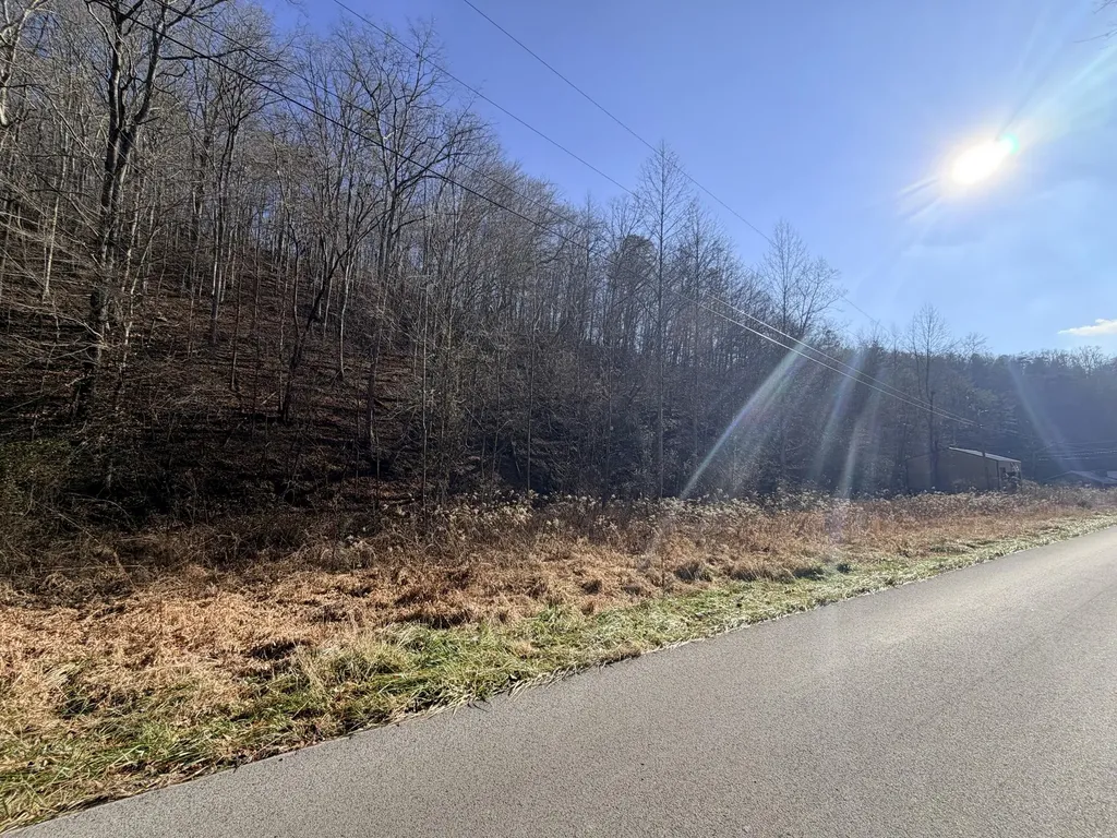 6770 State Highway 1350 Sextons Creek KY 40983