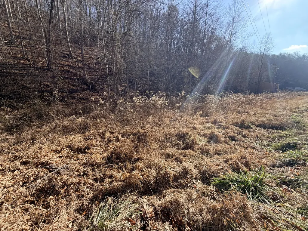 6770 State Highway 1350 Sextons Creek KY 40983