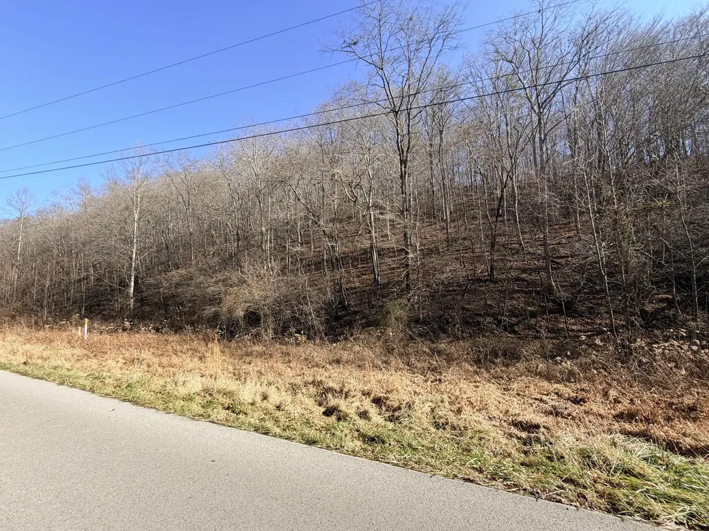 6770 State Highway 1350 Sextons Creek KY 40983