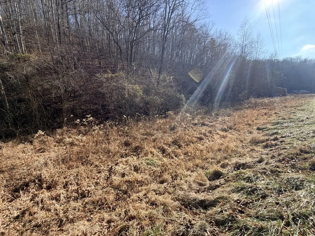 6770 State Highway 1350 Sextons Creek KY 40983