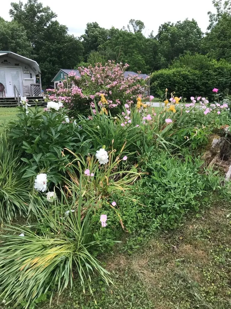 73 Tyner Loop Tyner KY 40486